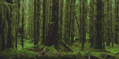 UWIC Masters Level online course J.R.R. Tolkien: Myth and Middle-earth in Context by Dimitra Fimi